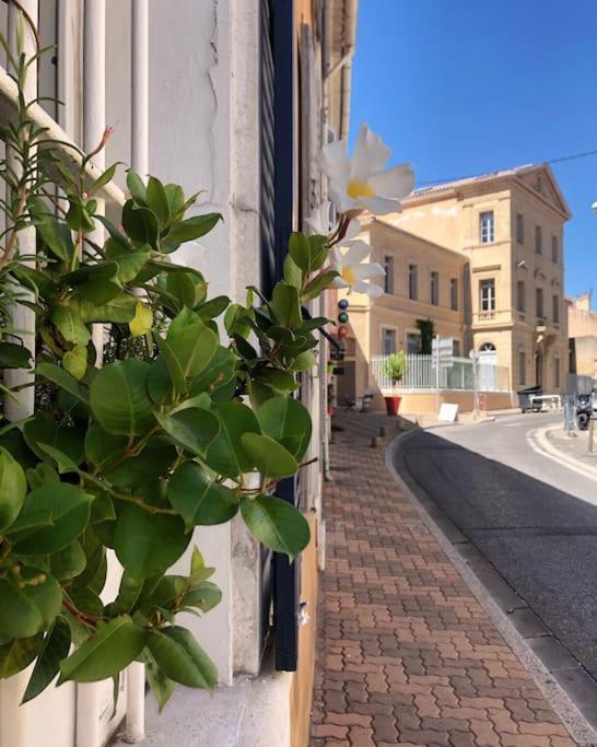 Studios Du Marin Sur Port De La Ciotat Eksteriør billede